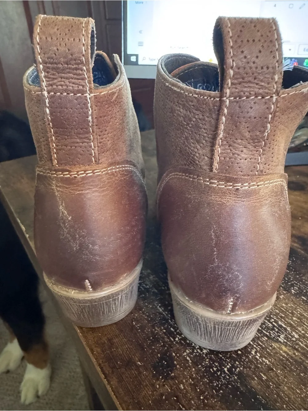 ROAN stylish brown